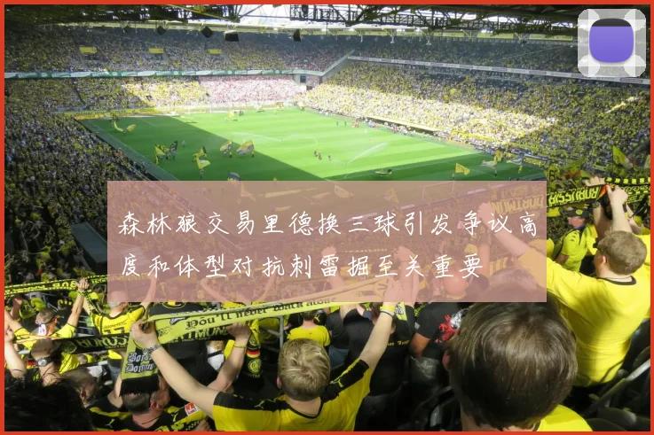 森林狼交易里德换三球引发争议高度和体型对抗刺雷掘至关重要
